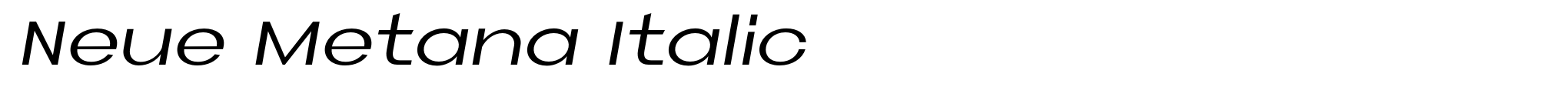 Neue Metana Italic image